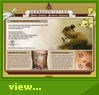 Hawaii Website Design