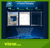 Hawaii Website Design